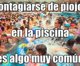 Contagio de piojos en piscinas públicas